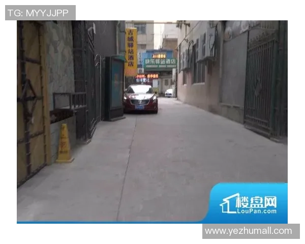 全面解析足球明星卡收藏价值与市场趋势指南