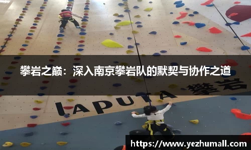 攀岩之巅：深入南京攀岩队的默契与协作之道