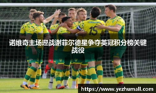 诺维奇主场迎战谢菲尔德星争夺英冠积分榜关键战役