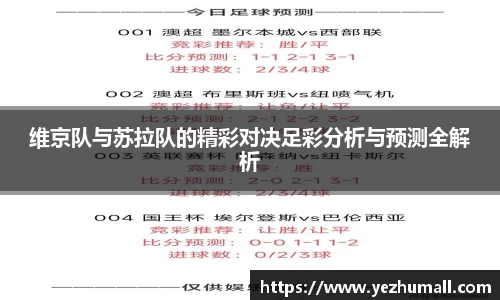 维京队与苏拉队的精彩对决足彩分析与预测全解析