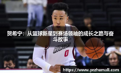 贺希宁：从篮球新星到赛场领袖的成长之路与奋斗故事